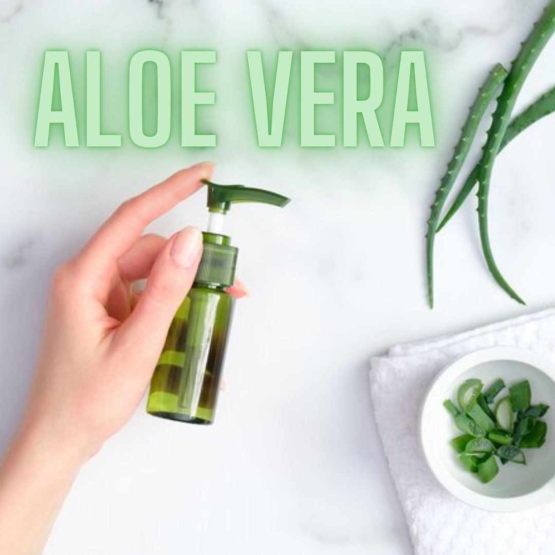 Aloe Vera